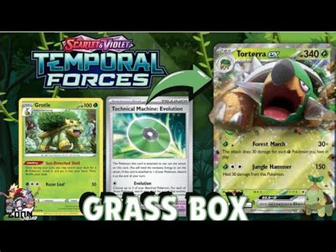 torterra ex deck|My Favorite Deck of 2024!!! Long Live Torterra ex (Temporal.